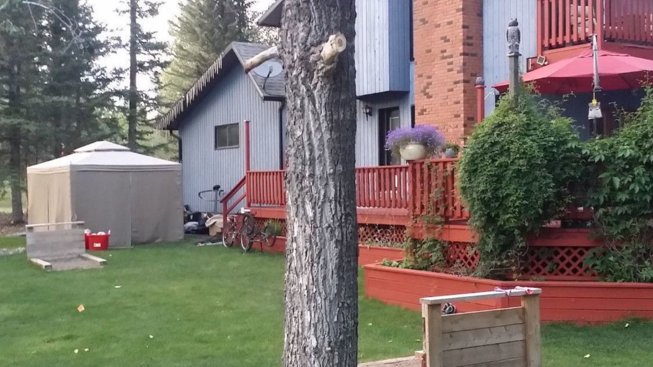 Photo of Outdoor in Redwood Meadows