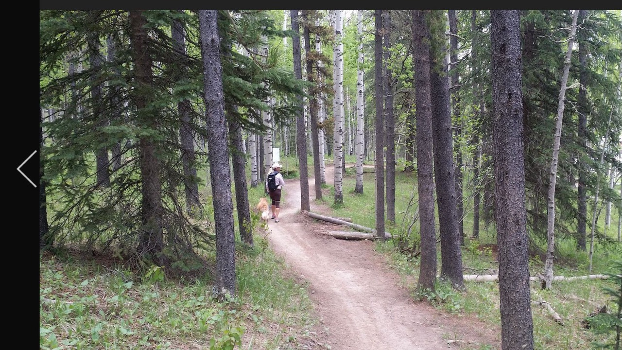 Photo of Outdoor in Redwood Meadows