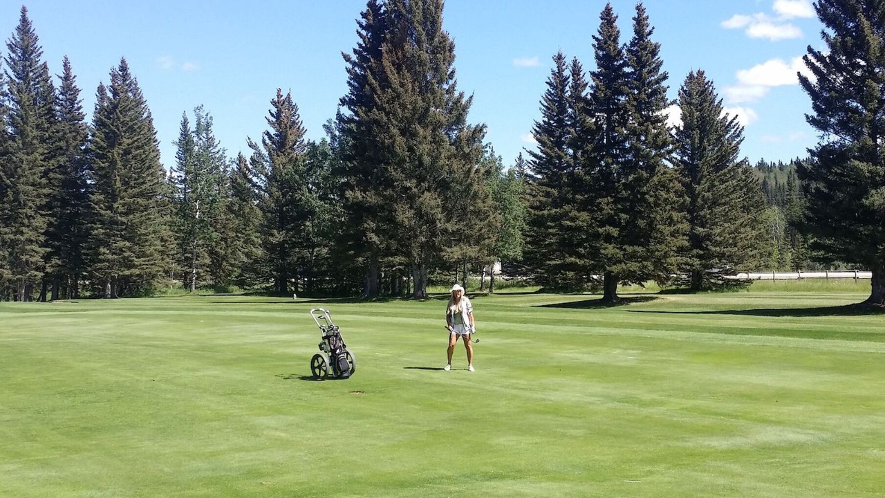 Photo of Others in Redwood Meadows