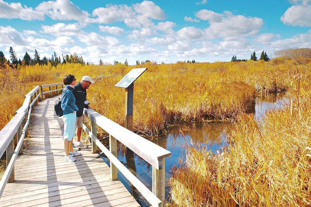 Photo of Others in Wasagaming