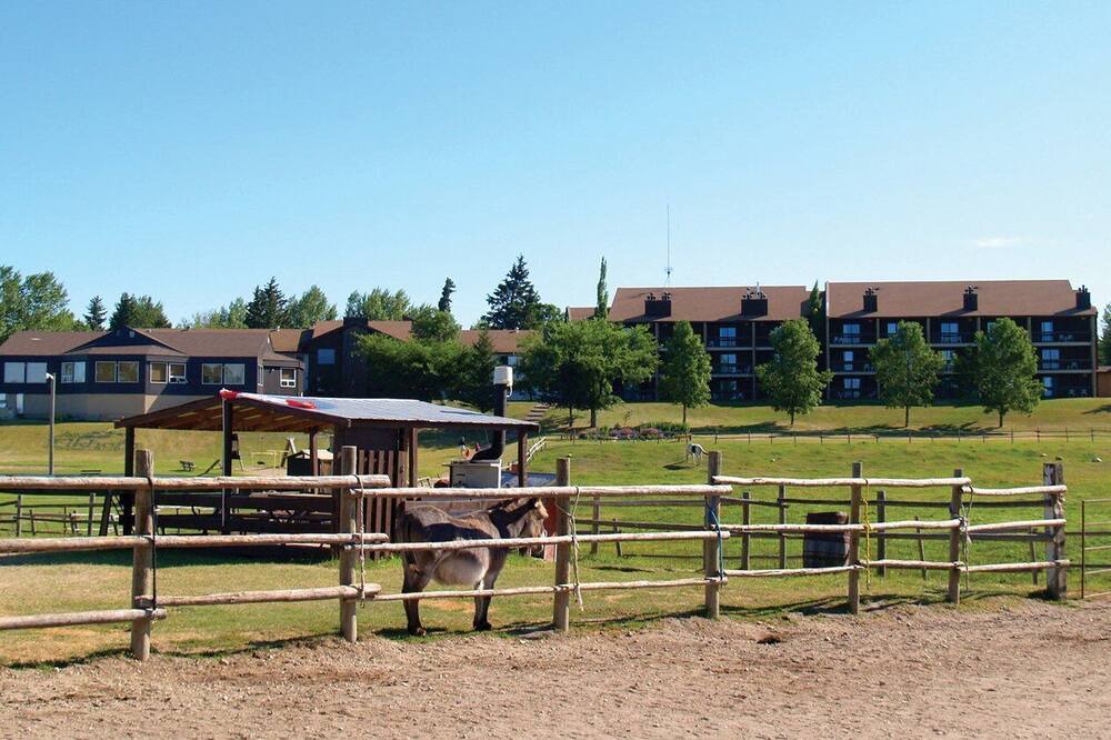 Photo of Others in Wasagaming