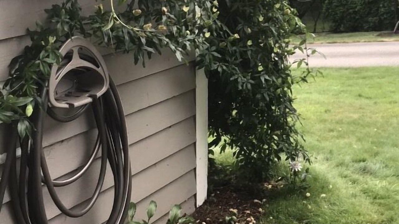 Photo of Outdoor in Brew Bay