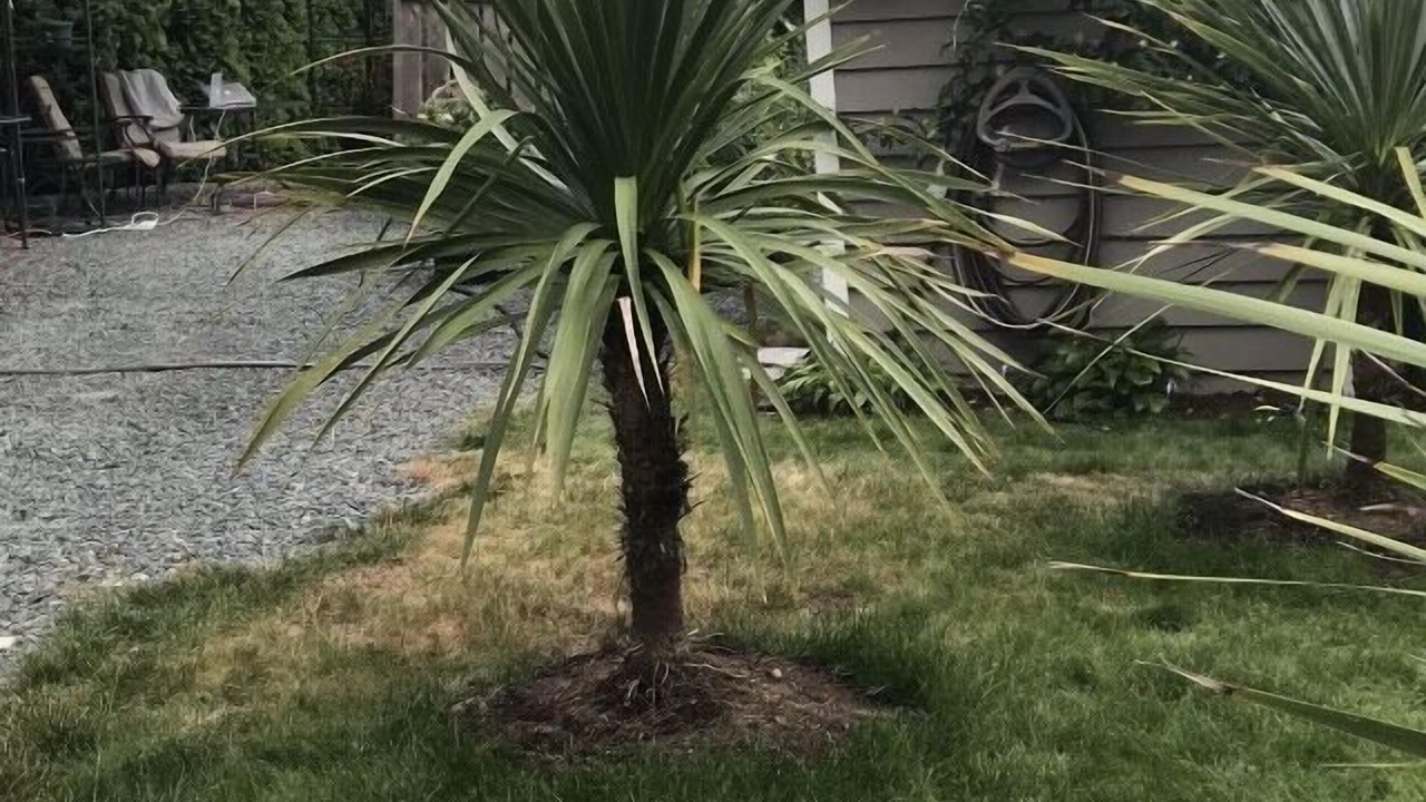 Photo of Outdoor in Brew Bay