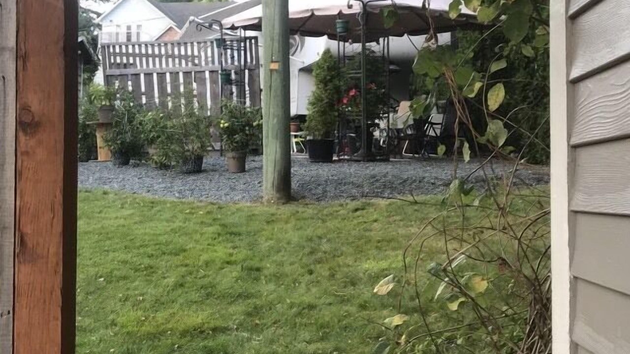 Photo of Outdoor in Brew Bay