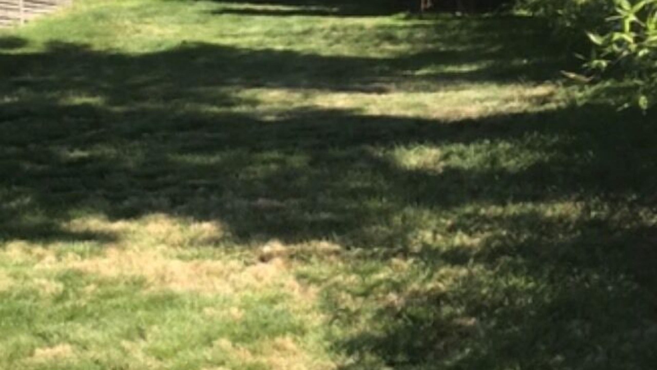 Photo of Outdoor in Brew Bay