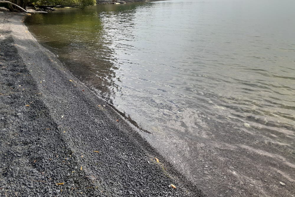 Photo of Others in Milford