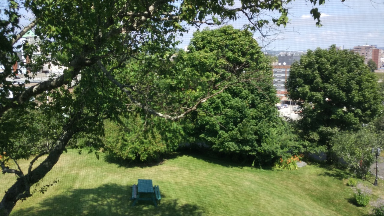 Photo of Outdoor in Saint John