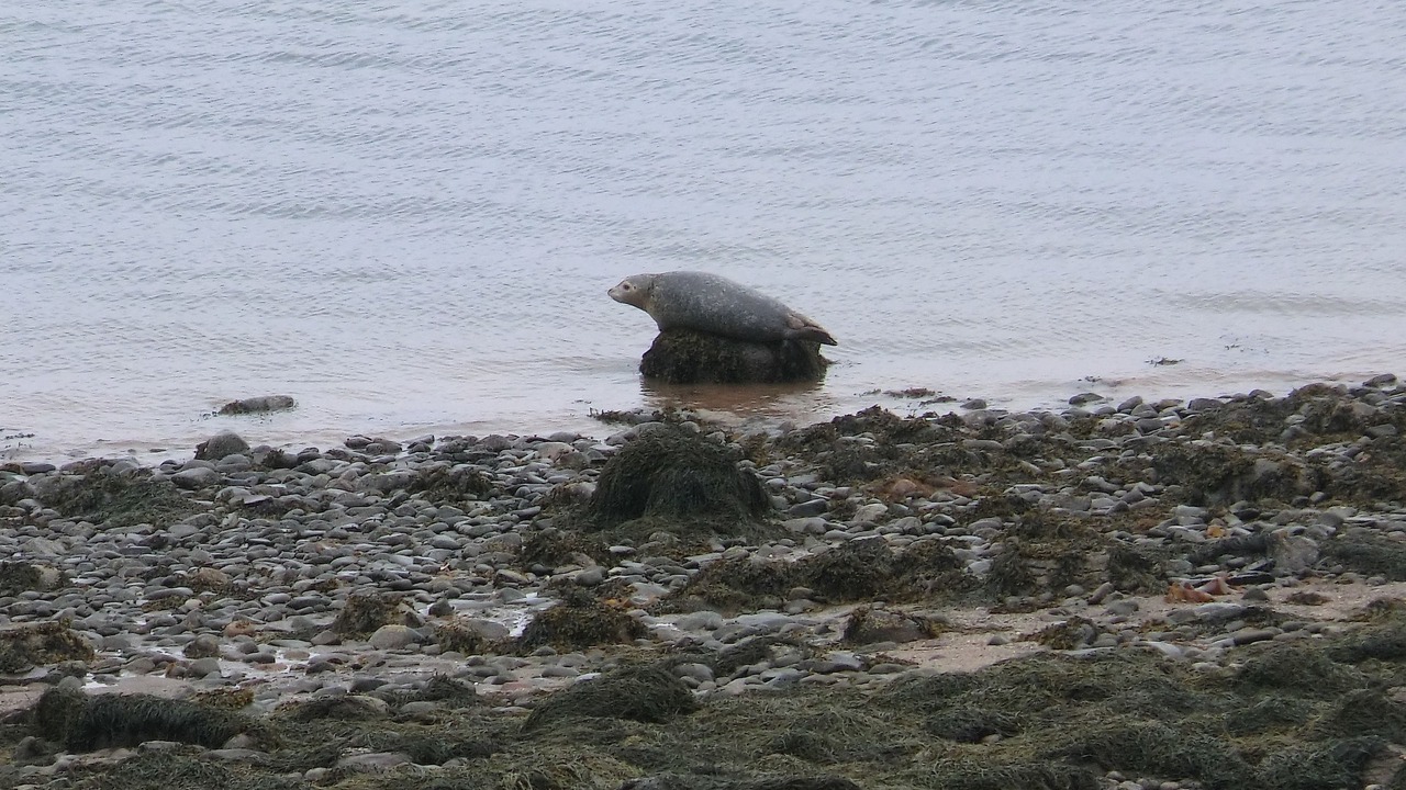 Photo of Others in Digby