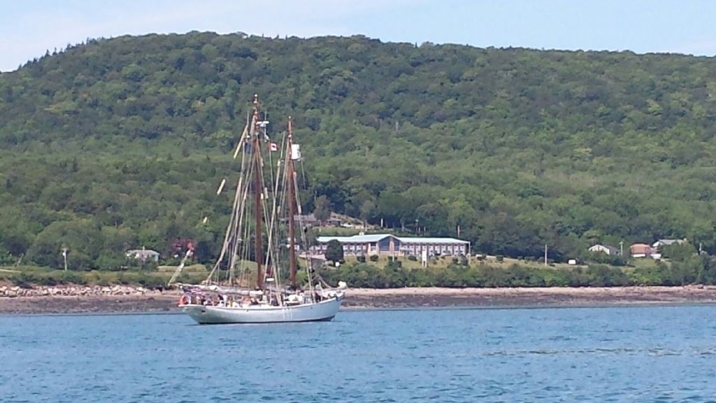 Photo of Others in Digby