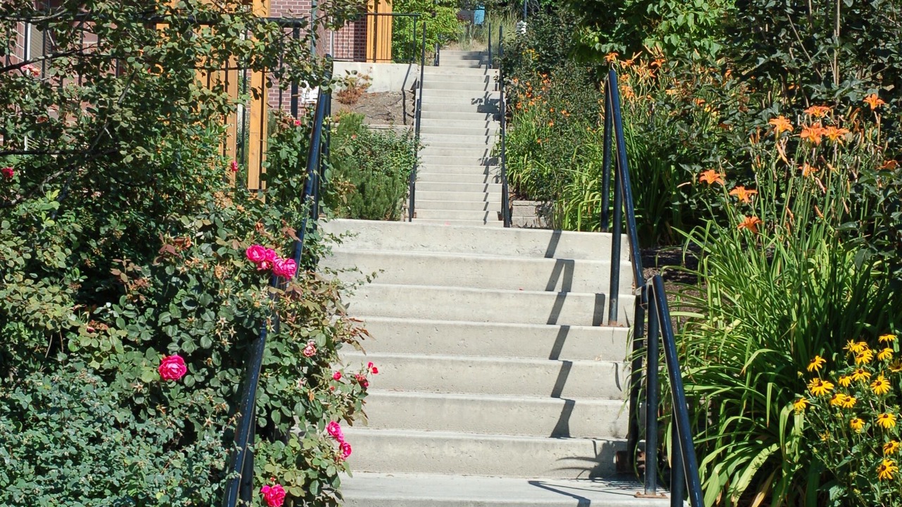 Photo of Outdoor in North Glenmore
