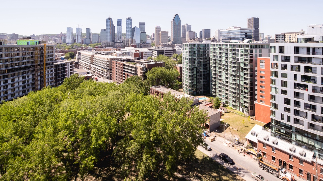 Photo of Others in Griffintown