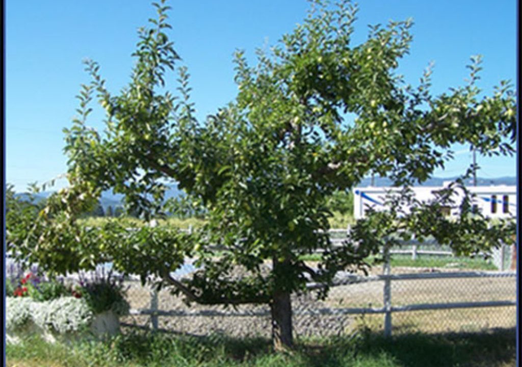 Photo of Outdoor in Central Okanagan