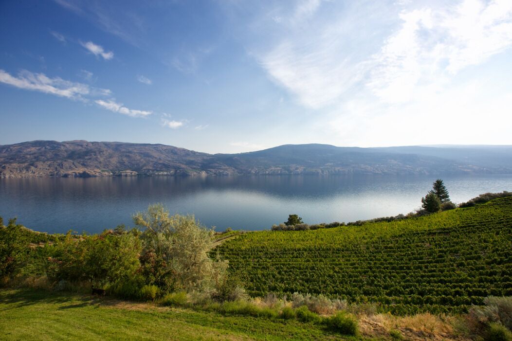 Photo of Others in Okanagan-Similkameen