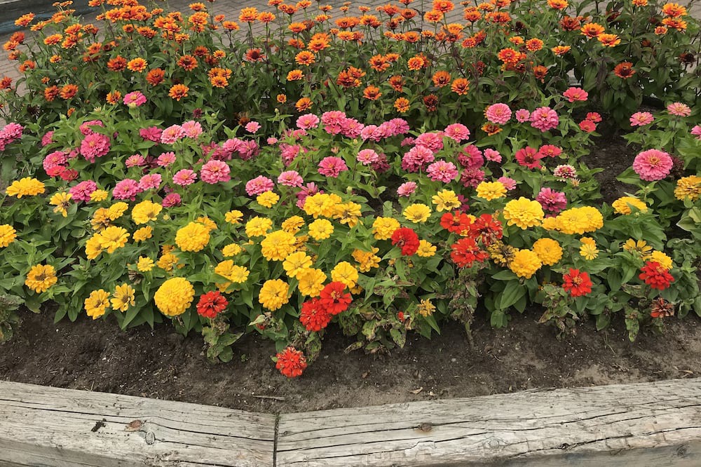 Photo of Outdoor in Sainte-Marguerite-du-Lac-Masson