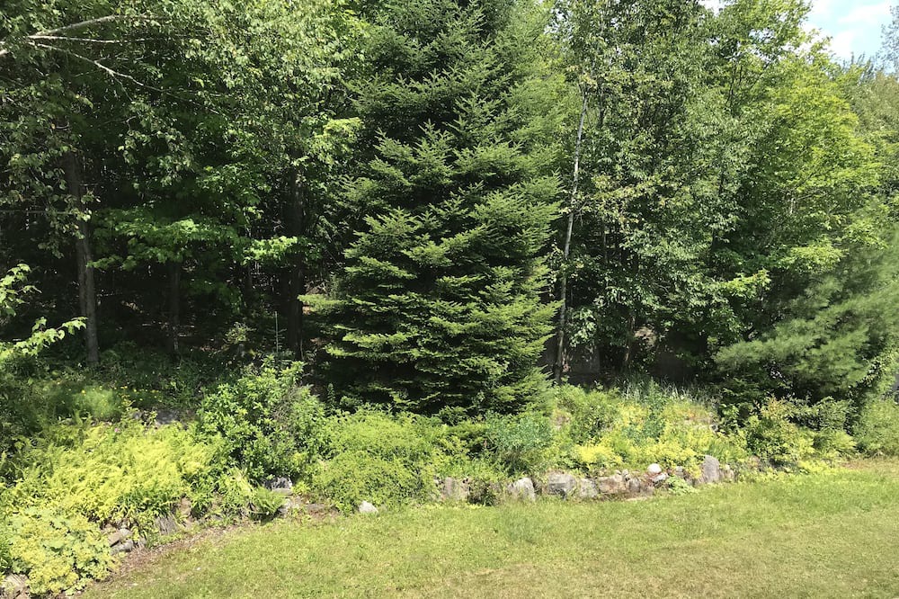 Photo of Outdoor in Sainte-Marguerite-du-Lac-Masson