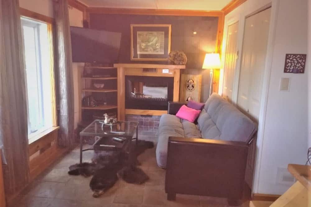Photo of Livingroom in Saint-Samuel