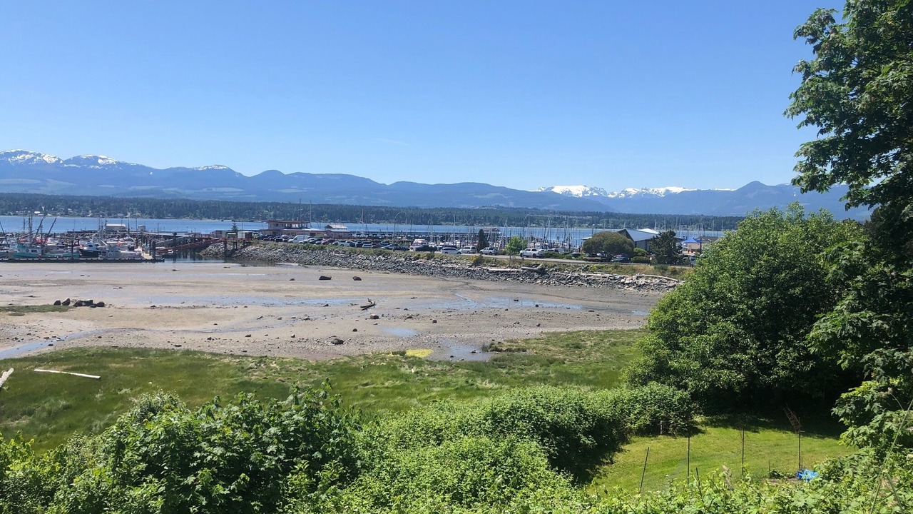 Photo of Others in Comox