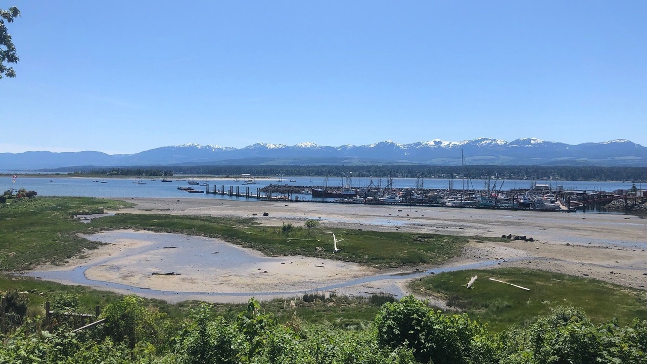 Photo of Others in Comox