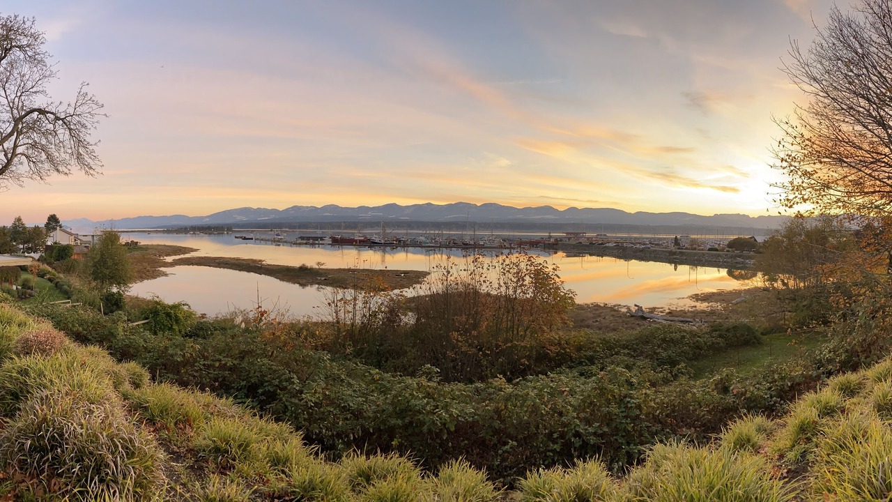 Photo of Outdoor in Comox