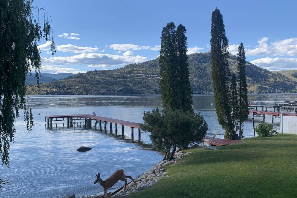 Photo of Outdoor in Vernon