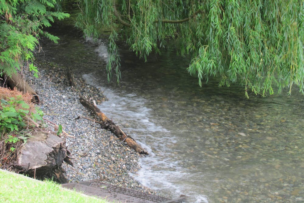 Photo of Others in Vernon