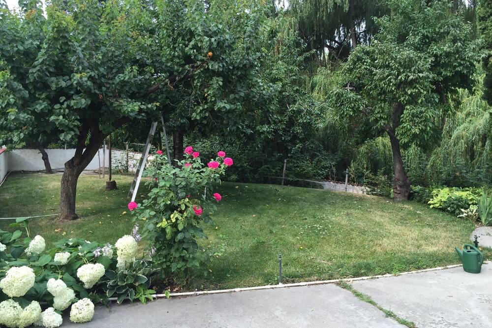Photo of Outdoor in Vernon