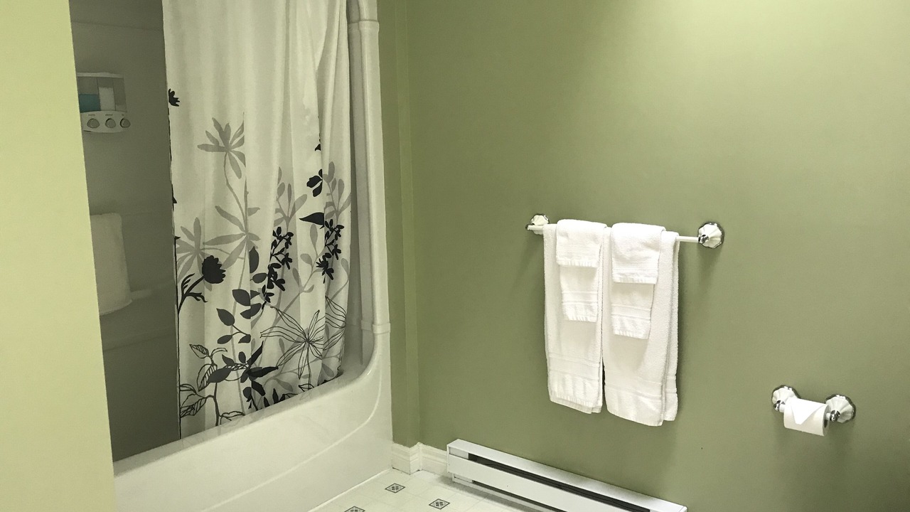 Photo of Bathroom in Maitland
