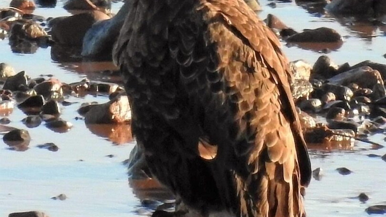 Photo of Others in Maitland