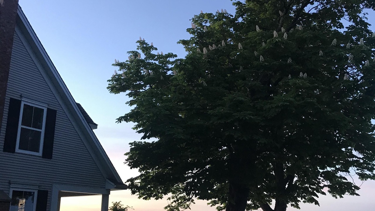 Photo of Outdoor in Maitland