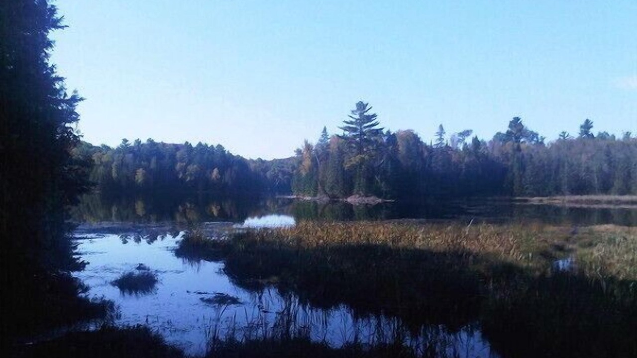 Photo of Others in Highlands East