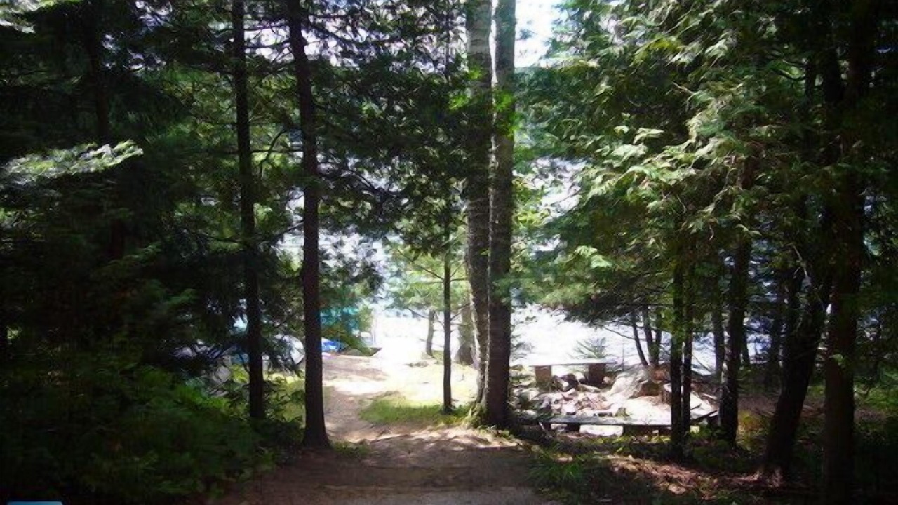 Photo of Outdoor in Highlands East