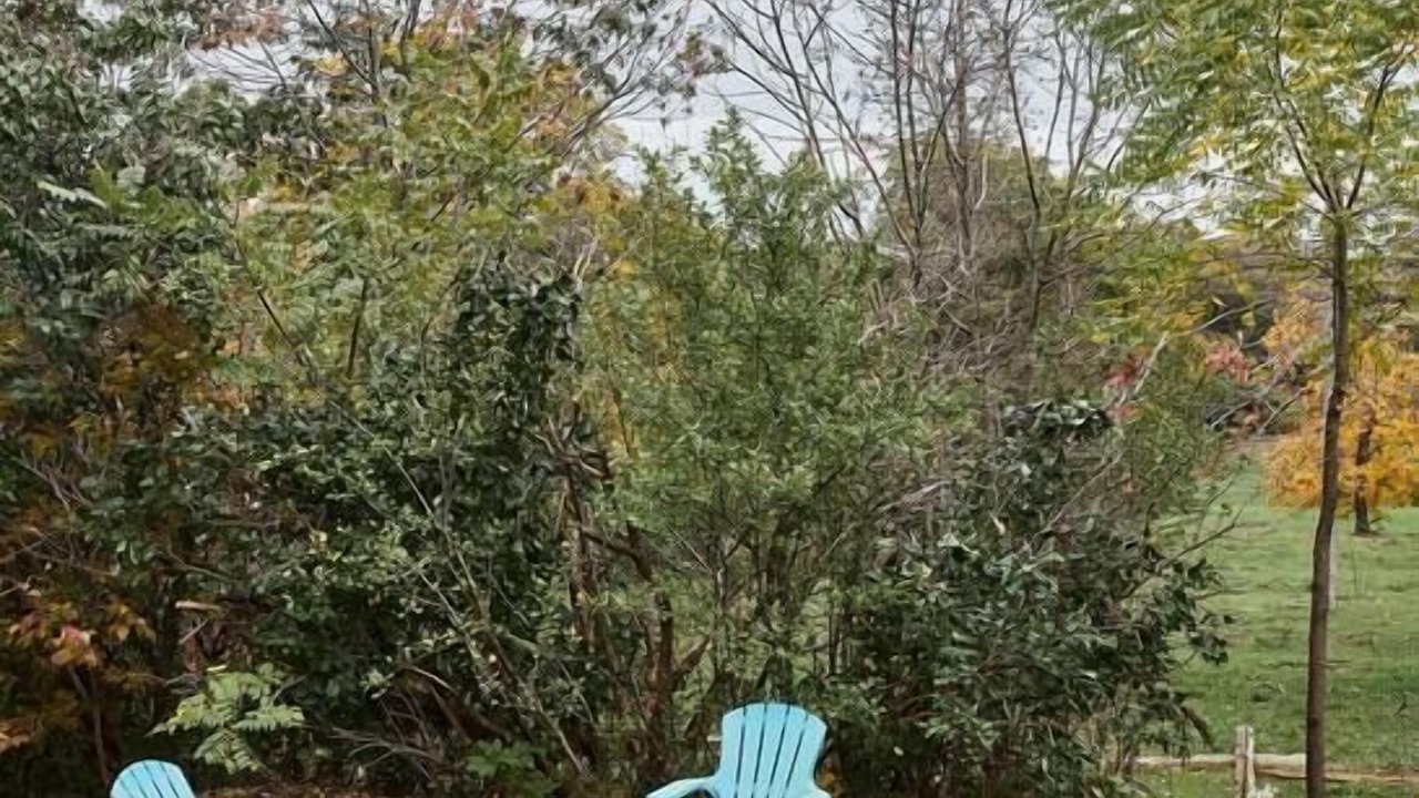 Photo of Outdoor in Waupoos