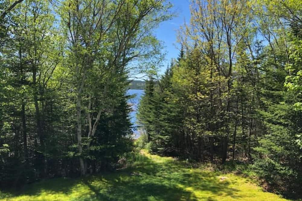Photo of Others in Tors Cove