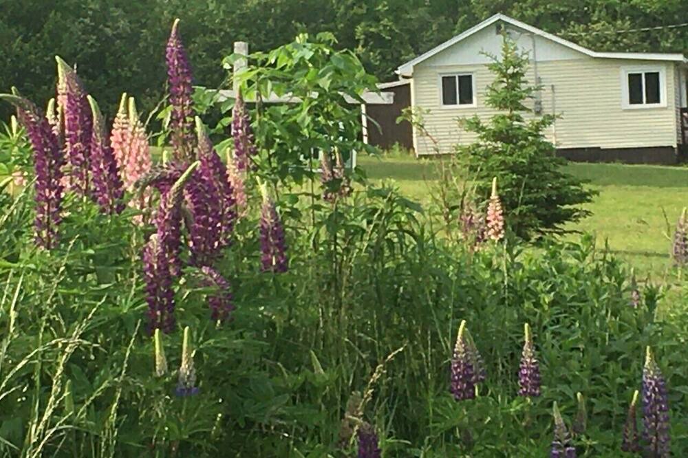 Photo of Outdoor in Antigonish County