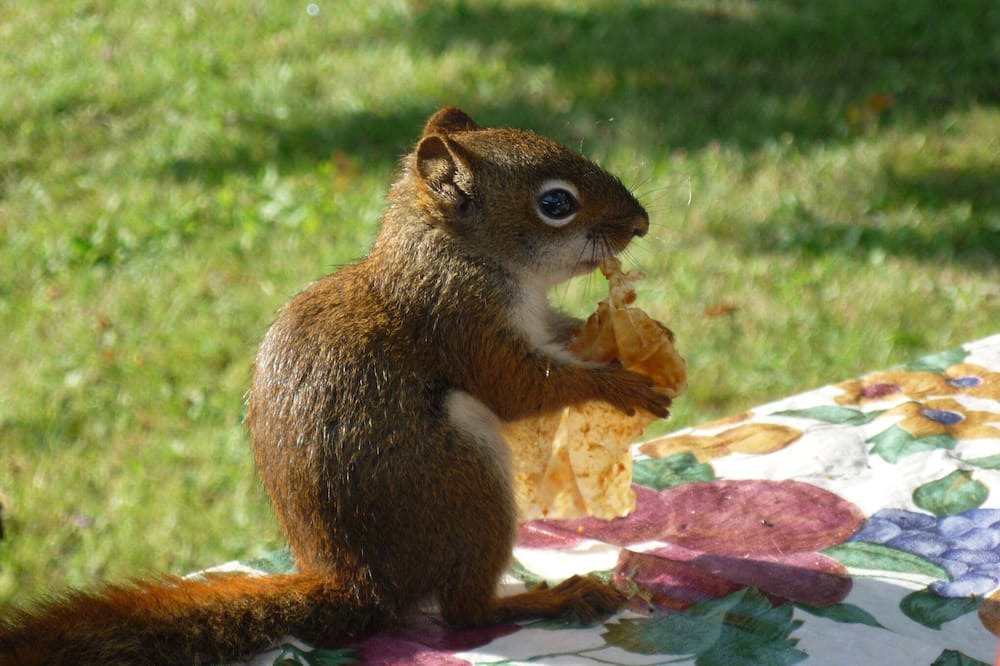 Photo of Others in Antigonish County