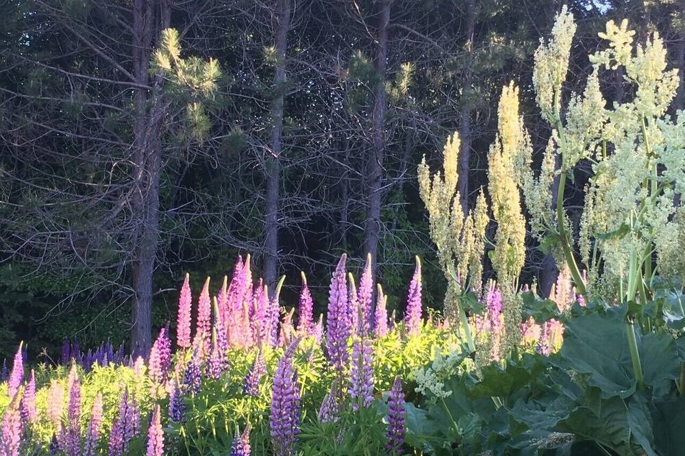 Photo of Outdoor in Antigonish County