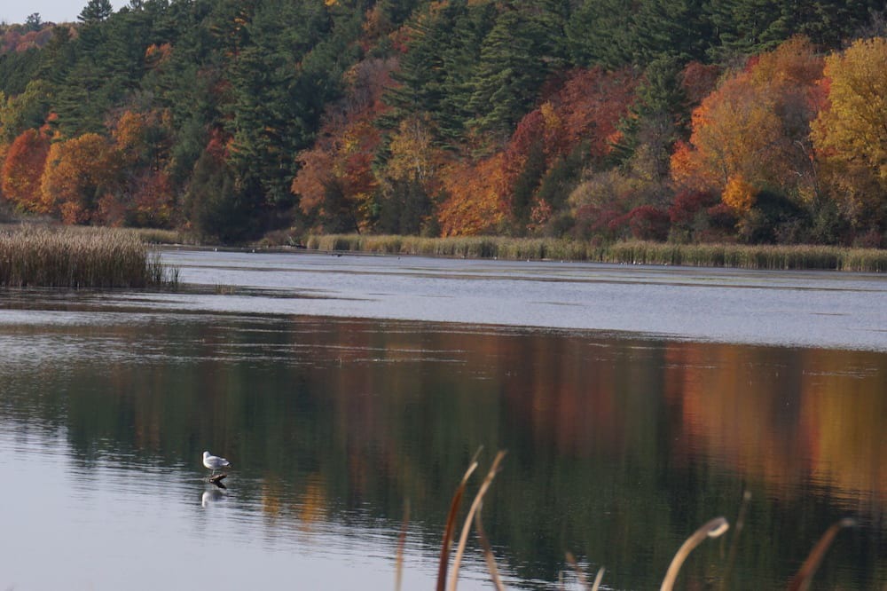 Photo of Outdoor in Westport