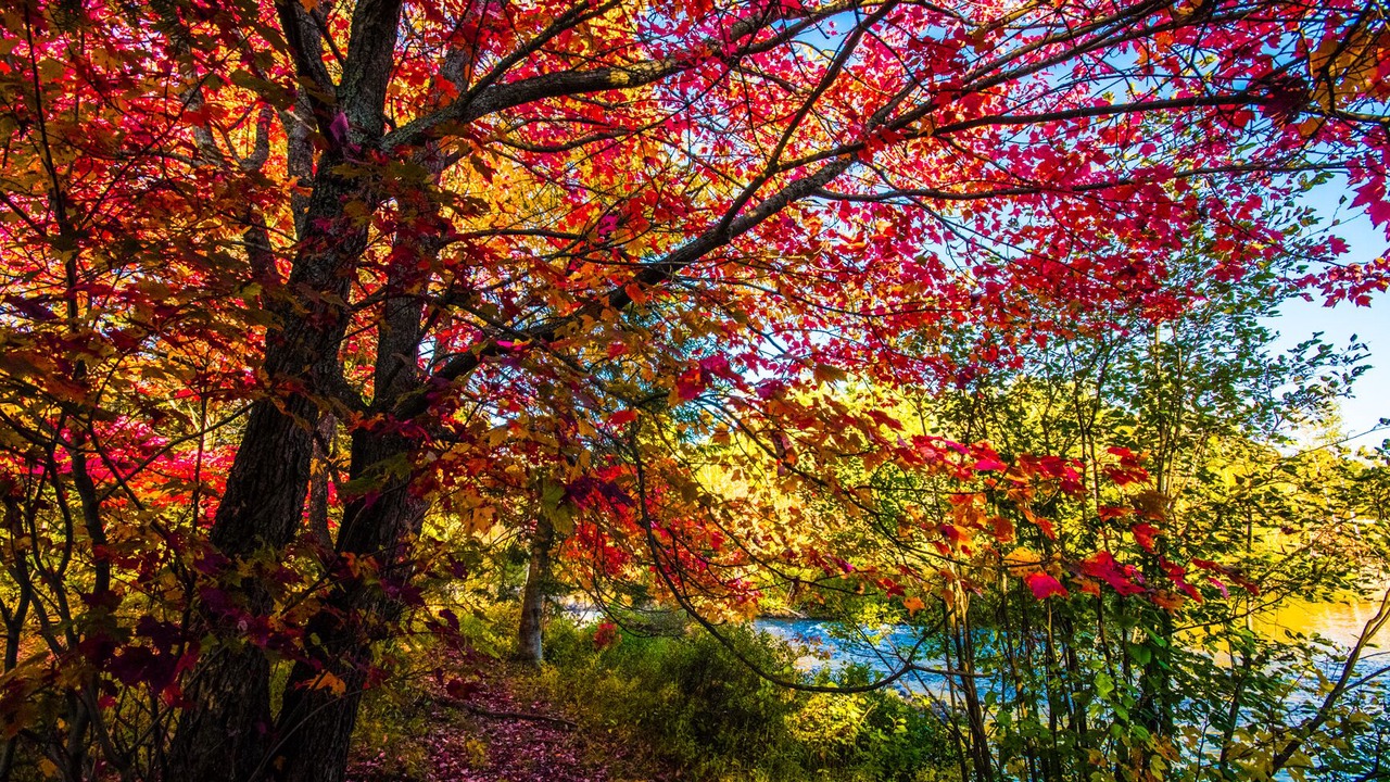 Photo of Outdoor in Val David