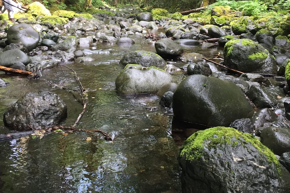 Photo of Outdoor in Sproat Lake