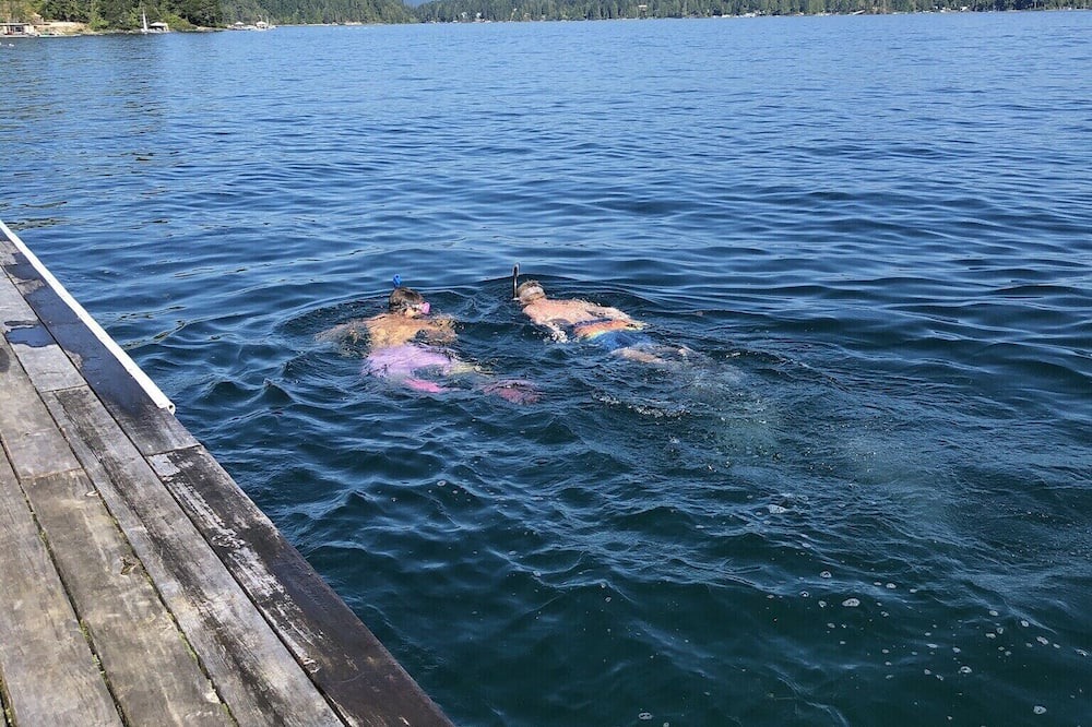 Photo of Others in Sproat Lake