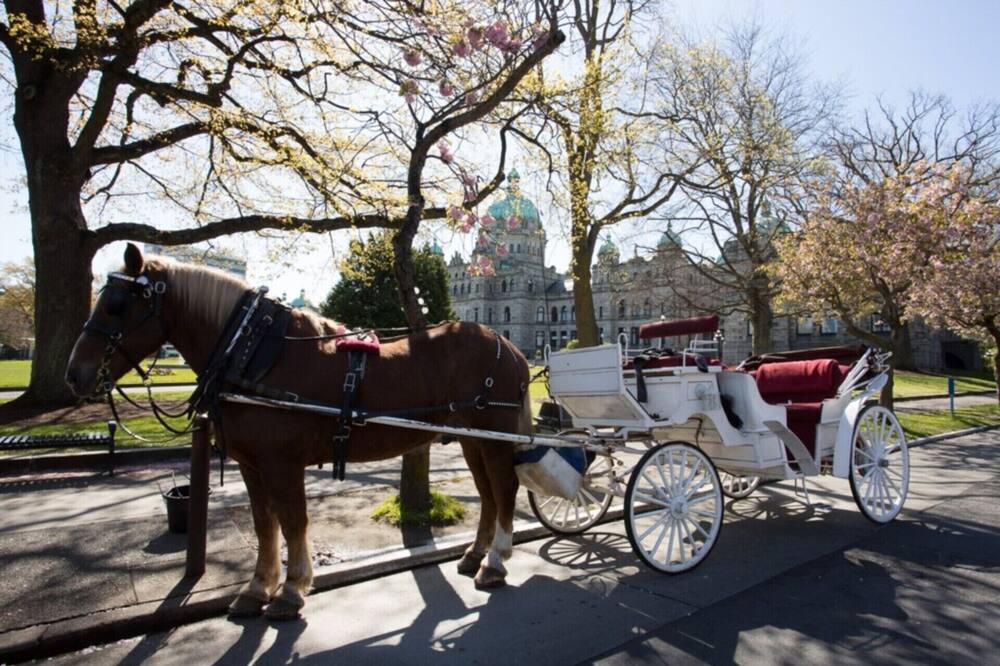 Photo of Others in Downtown Victoria