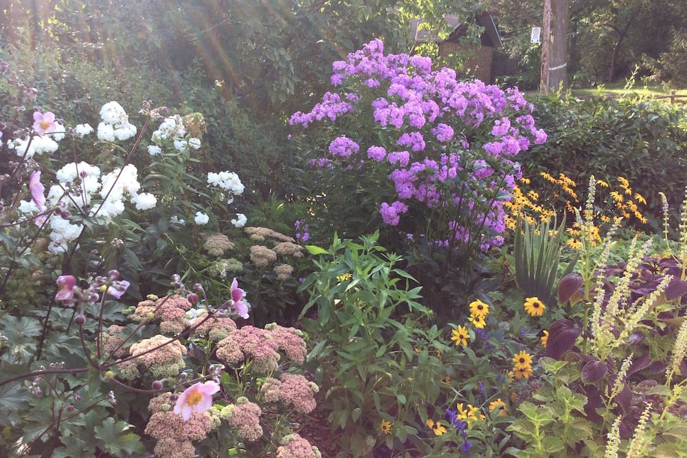 Photo of Outdoor in Dundas