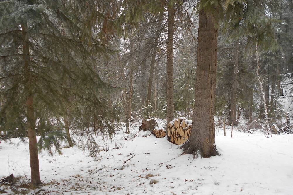 Photo of Others in East Kootenay