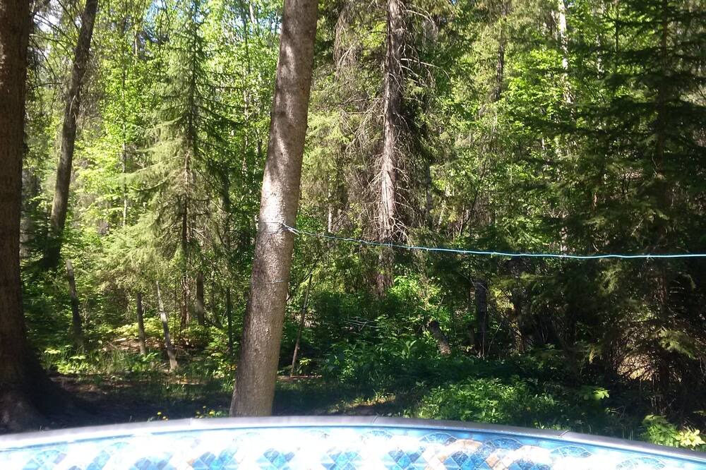 Photo of Others in East Kootenay