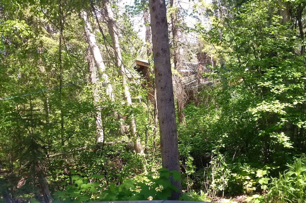 Photo of Others in East Kootenay