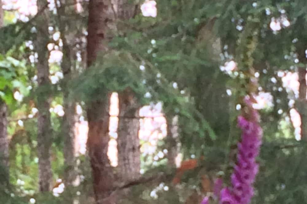 Photo of Outdoor in Salt Spring Island