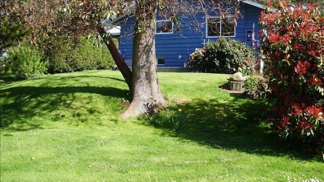 Photo of Outdoor in Saanichton