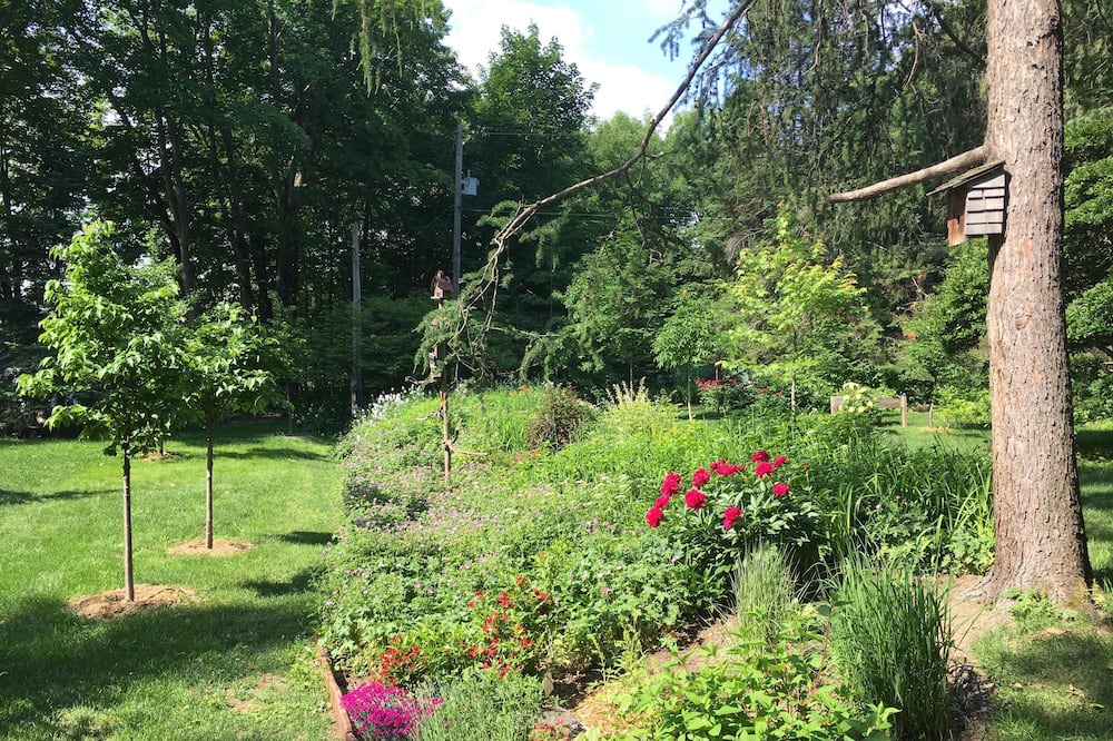 Photo of Outdoor in Saint-Laurent-de-l'ile d'Orleans