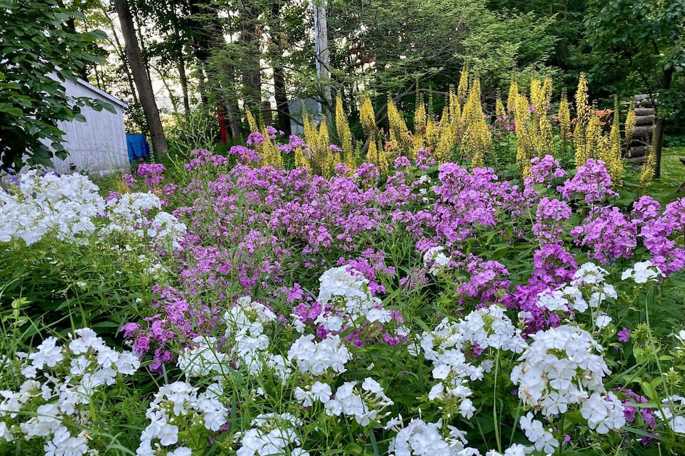 Photo of Outdoor in Saint-Laurent-de-l'ile d'Orleans