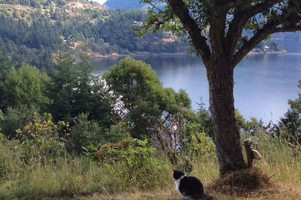 Photo of Outdoor in Maple Bay